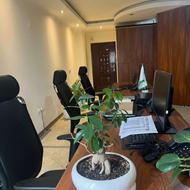 استخدام کارشناس فروش تلفنی, حقوق ثابت+پورسانت+بیمه