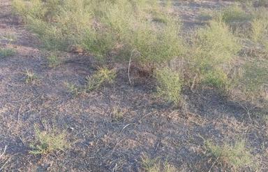 زمین برای ساخت ویلا