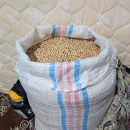 نخود ابگوشتی