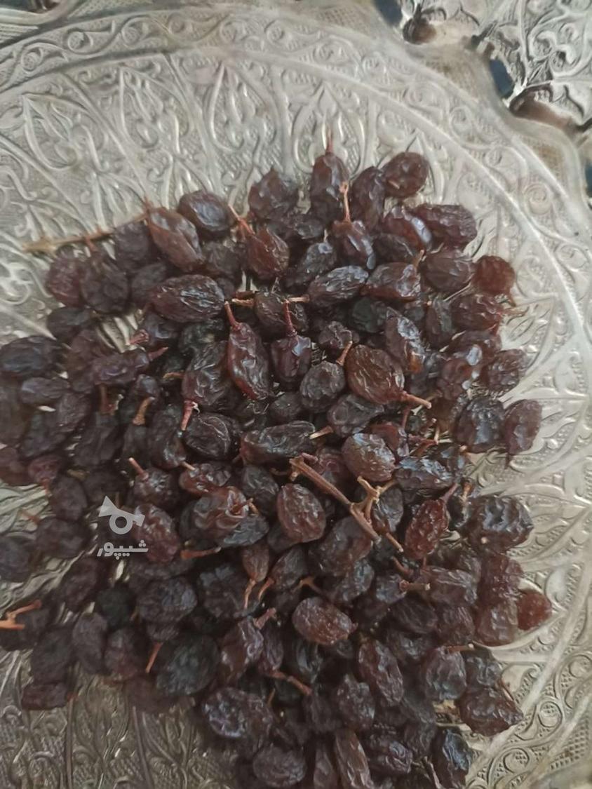 کشمش اعلا آفتابی تمیز