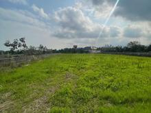 212 مترزمین چسبیده به بافت  در شیپور