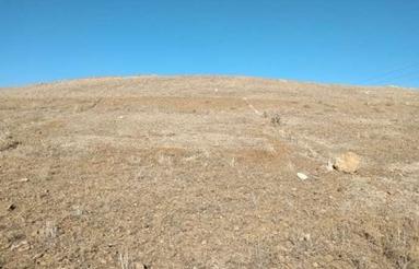 از زمین های اسی بوغلی معروف به اسداله فرضی