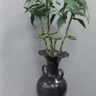 شاخه بامبو 5 عع