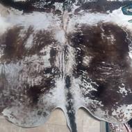 فرش پوست گاو طبیعی