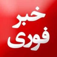 صدور انواع بیمه نامه