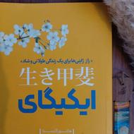 کتاب ایکیگای