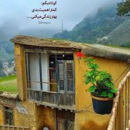 بزرگترین مرغ پرکنی راهبند. امامی