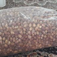 خرما زاهدی امساله