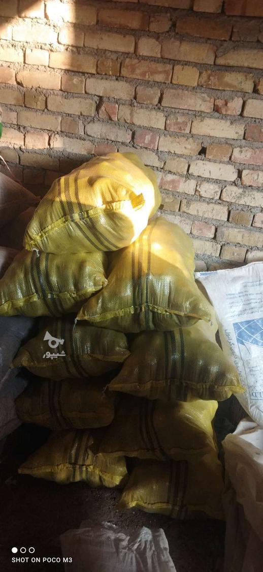 سیب زمینی جیلی 402