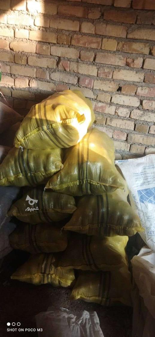 سیب زمینی جیلی 402