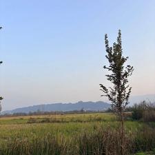 فروش 692 متر زمین مسکونی تالاب سوستان