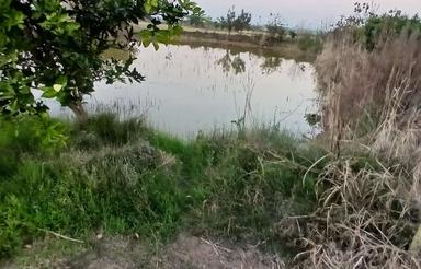 فروش یا مشارکت 8 هکتار