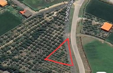 600 مترمربع زمین باغی مسکونی جاده بابلسر