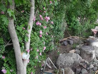 خانه ویلایی