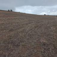 زمین گندم زار 3000 هزار متر معاوضه با ماشین