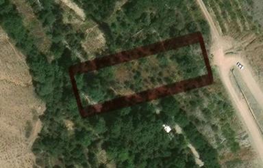 فروش 1250 متر زمین در جاده چالوس