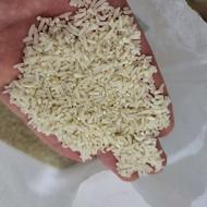 برنج لاشه دم سیاه