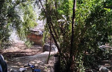 دو واحدمنزل مسکونی،یک و دوخوابه،باقی حیاط درخت میوه