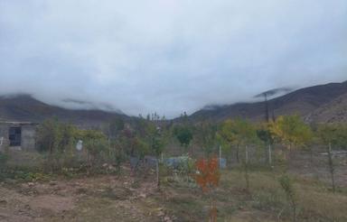 فروش زمین درمنطقه یلاقی کجور مازندران