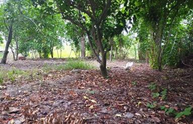 فروش زمین زم