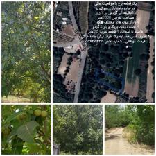 فروش باغ در جاده داستاران سوکهریز