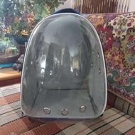 کوله حمل گربه و طوطی.