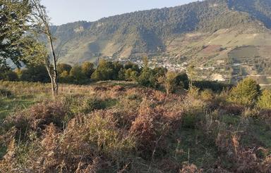 زمین خارج بافت30,000متری