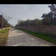 فروش در داخل بافت جویبار