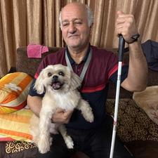 سگ شیتزو تریر سفید گمشده