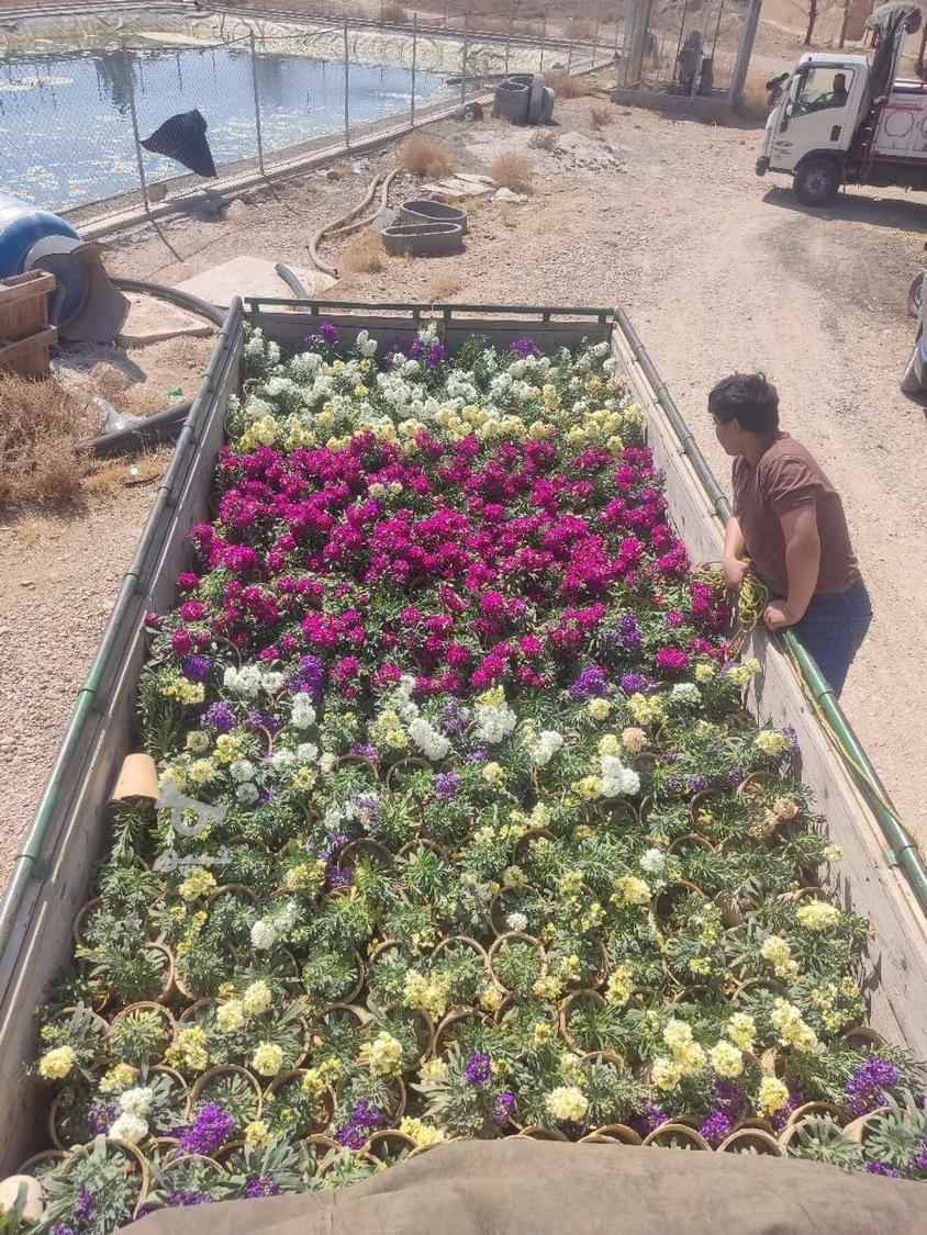 حمل و نقل هر نوع بار به تمام نقاط کشور