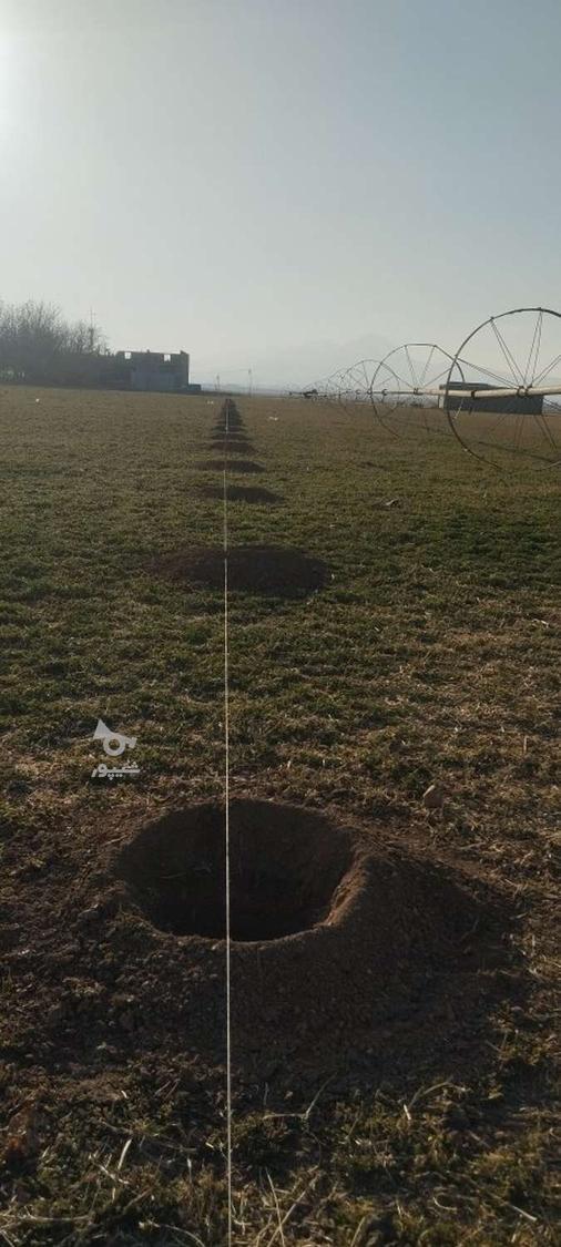 فنس کشی باغچه استخر سنگ چینی و..