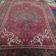 فرش دستباف در حدنو