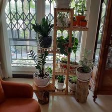 جای گلدان طبقاتی . چوبی