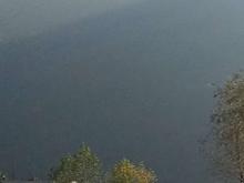 هچیرود قطعه یک و دوم کوه فروش زمین مسکونی 8500 متر در شیپور