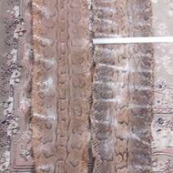 پوست مار پیتون اصل