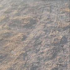 فروش زمین زراعی 7000متر