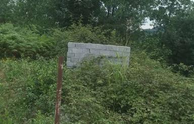 فروش زمین 1472 متر لاهیجان سوستان