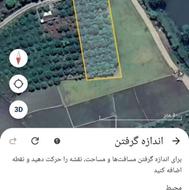 فروش باغ مرکبات