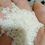 برنج طارم هاشمی دابودشت