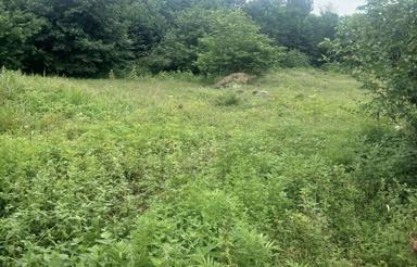 زمین مناسب دامداری کشاورزی گلخانه