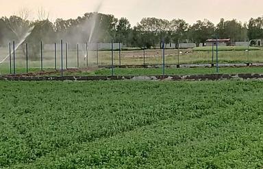 560مترزمین حصارشده