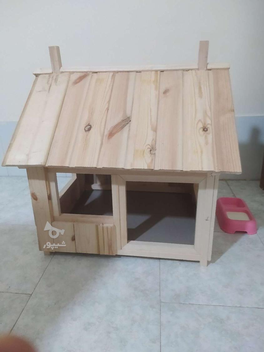 ساخت خانه‌ای زیبا و مجلل برای سگ