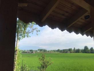 ویلا ومحوطه باغ مرکبات