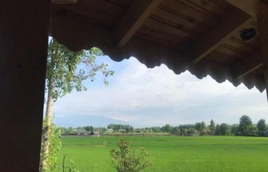 ویلا ومحوطه باغ مرکبات