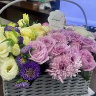 مراقبت از سالمن