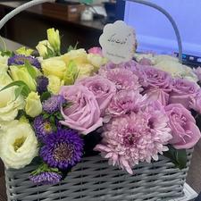 مراقبت از سالمن