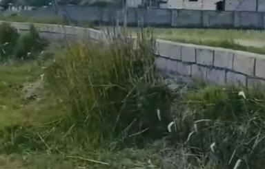 زمین جاده قدیم آمل