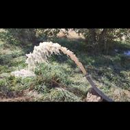 تعیین محل حفر چاه ، اکتشاف آب‌های زیرزمینی