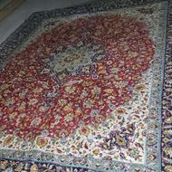 فرش دوازده متری نخ بدون سوختگی