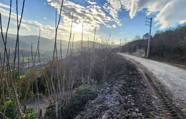 معاوضه 700 متر زمین واقع در امره ساری